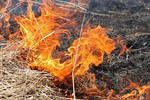 В Твери начала гореть трава