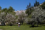 В Твери благоустроят яблоневый сад в Московском районе 