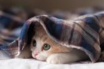 В Твери завершается отопительный сезон