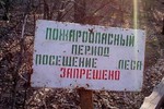Еще в девяти районах Тверской области введено ограничение посещения лесов