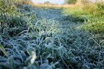 В Тверской области ожидаются ночные заморозки
