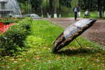 Синоптики прогнозируют в Тверской области сильный дождь