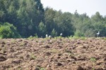 Под Тверью около 6 га земли лишились плодородного слоя