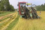  В Тверской области полным ходом идут сезонные полевые работы