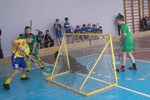 В Эммаусе прошел областной турнир по флорболу «Русская осень»
