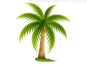 Default file